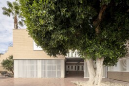 Acceso árbol Centro de Salud de Callosa del Segura 
