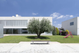 Exterior ajardinado Instituto Bernabeu (Alicante) 